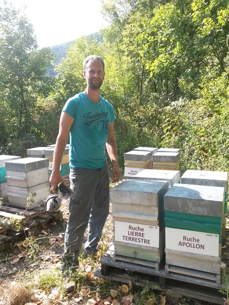 La ruche Lierre terrestre