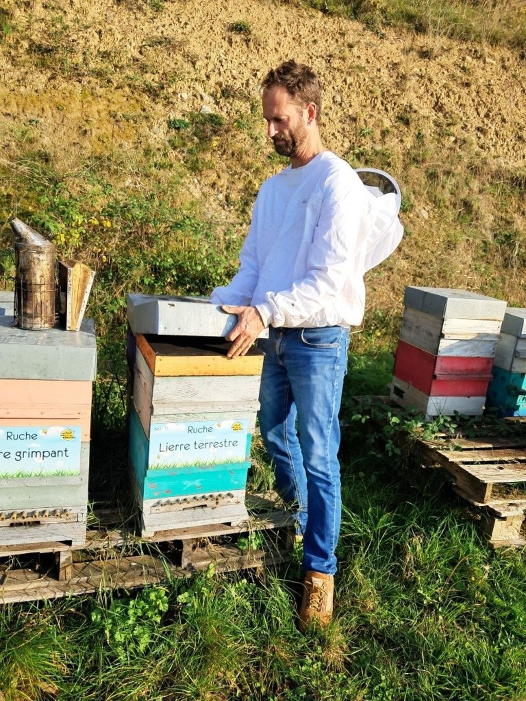 La ruche Lierre terrestre
