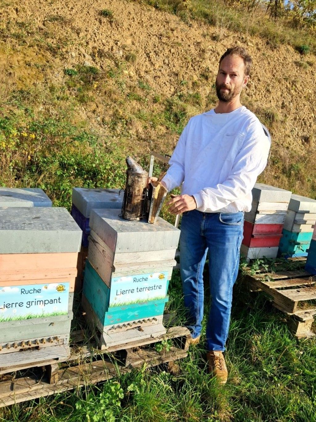 La ruche Lierre terrestre