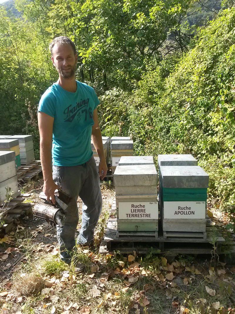 La ruche Lierre terrestre