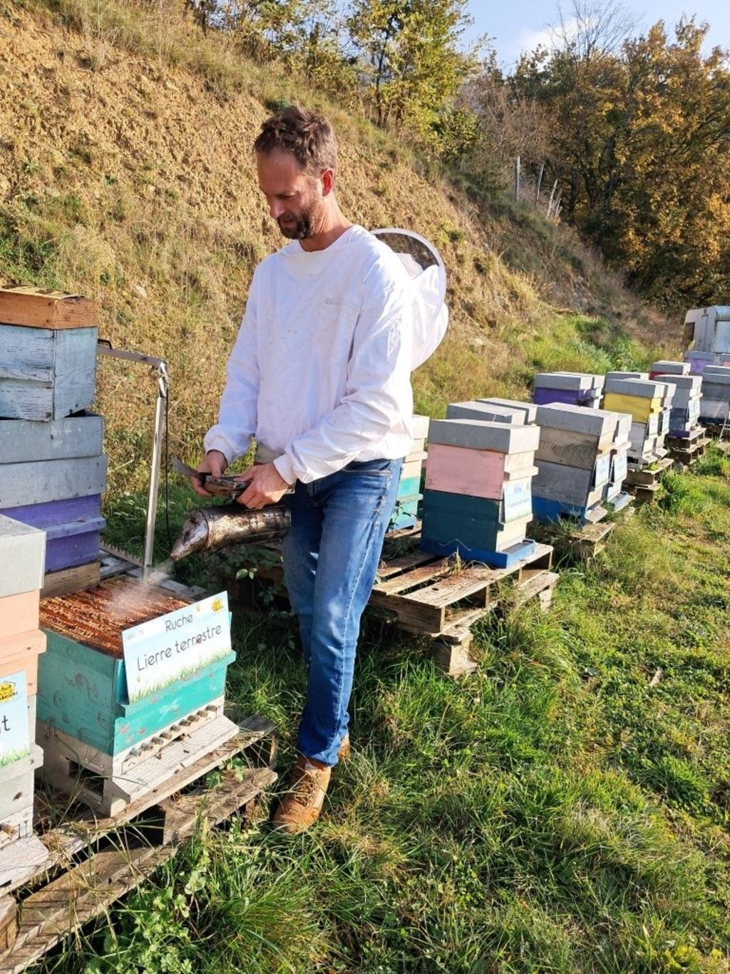 La ruche Lierre terrestre