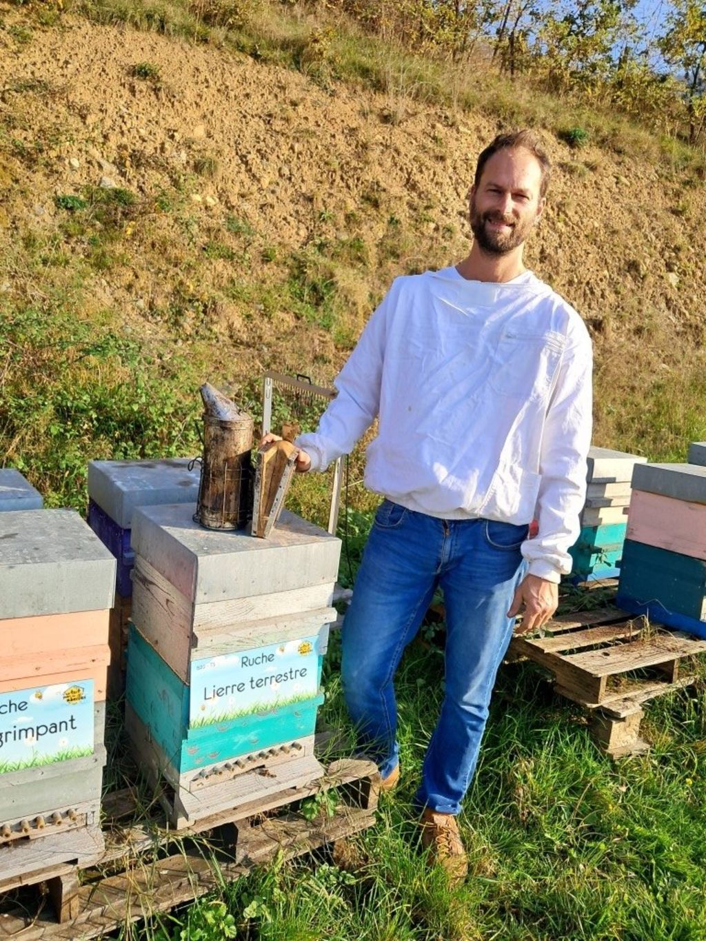 La ruche Lierre terrestre
