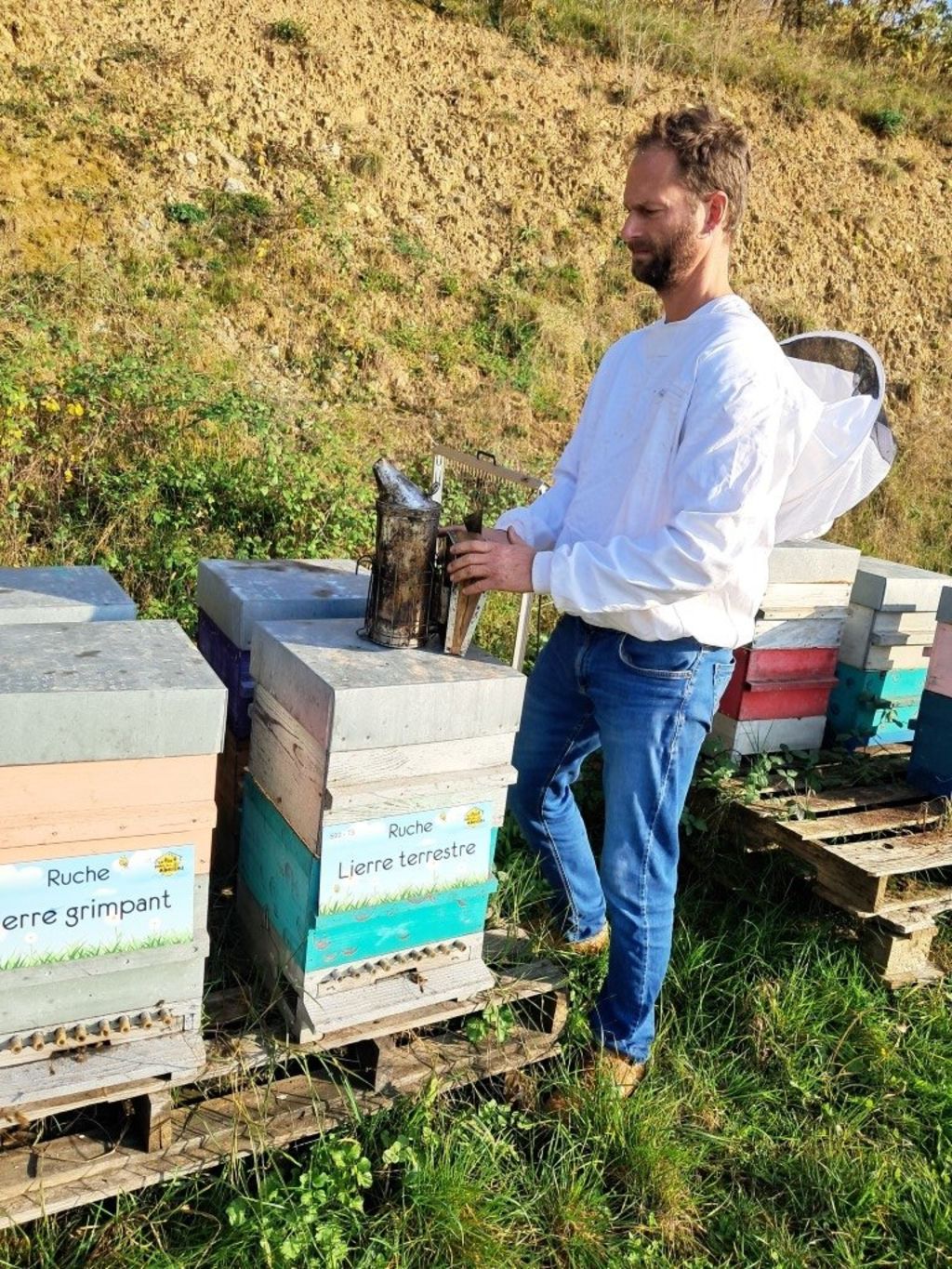 La ruche Lierre terrestre