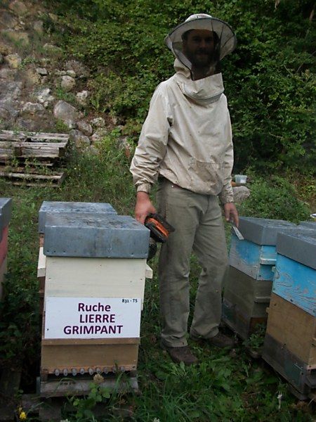 La ruche
