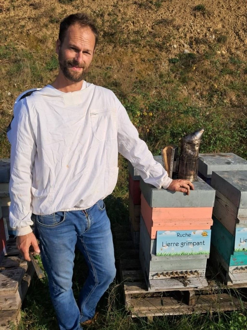 La ruche Lierre grimpant