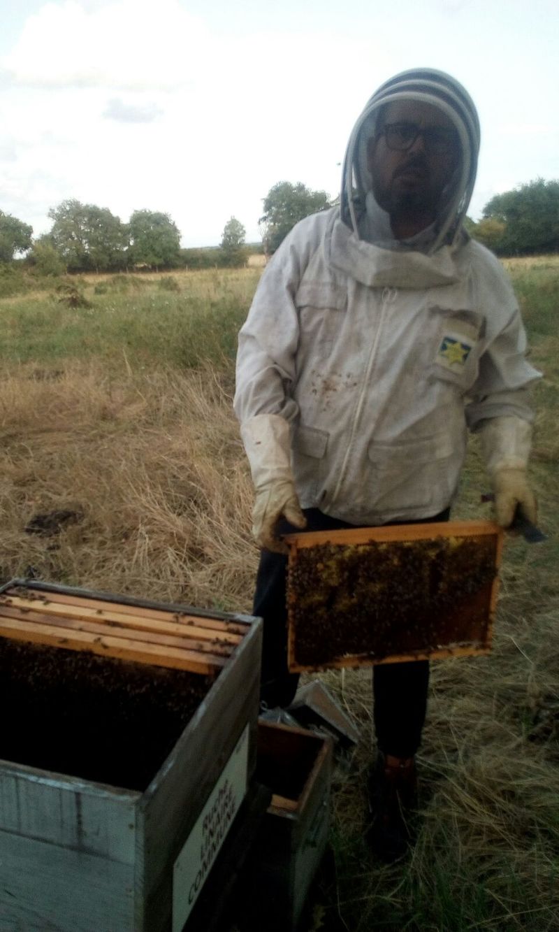 La ruche Linaire commune