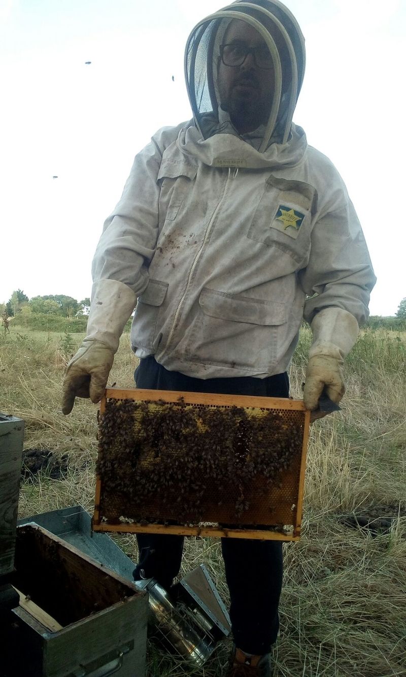 La ruche Linaire commune