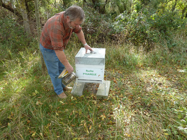 La ruche Pygargue