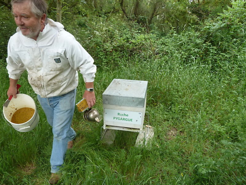La ruche Pygargue