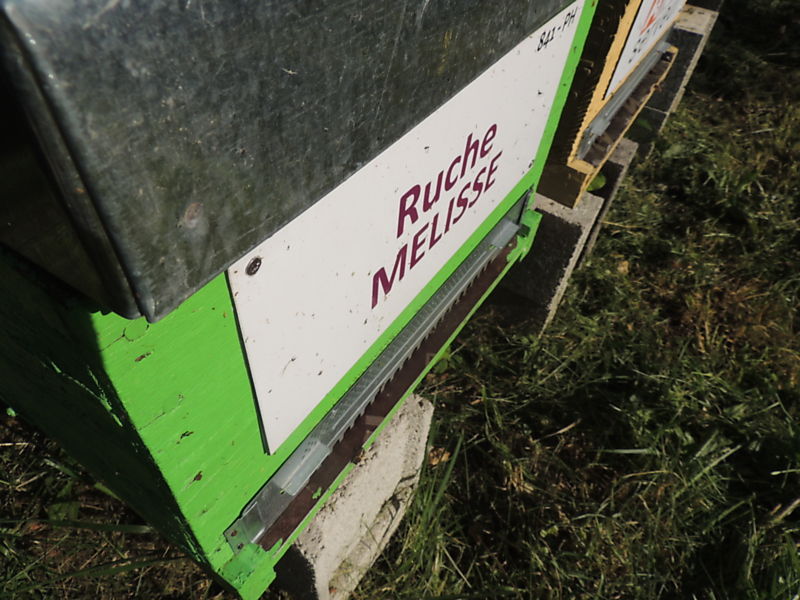 La ruche Mélisse