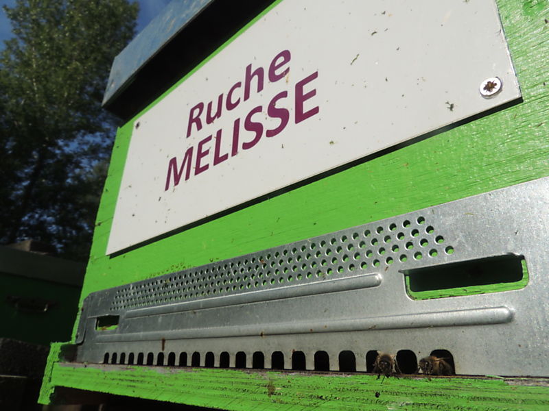 La ruche Mélisse
