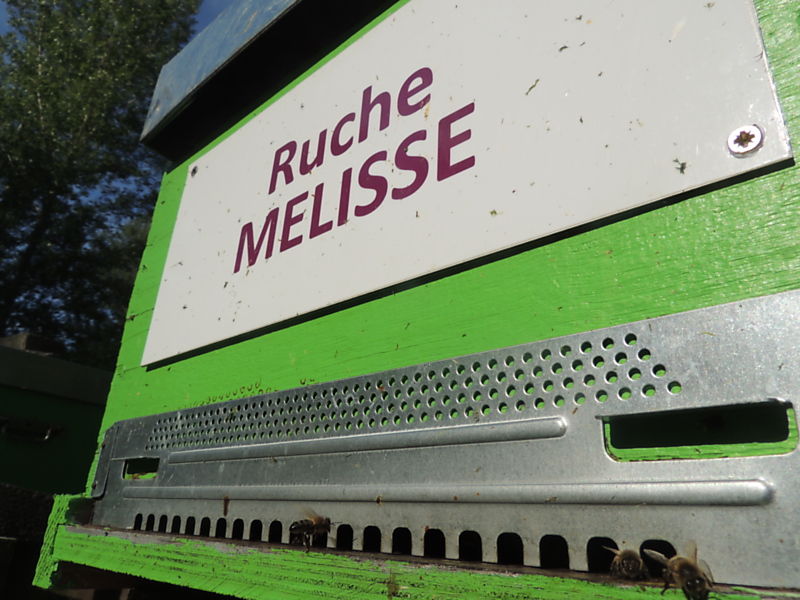 La ruche Mélisse