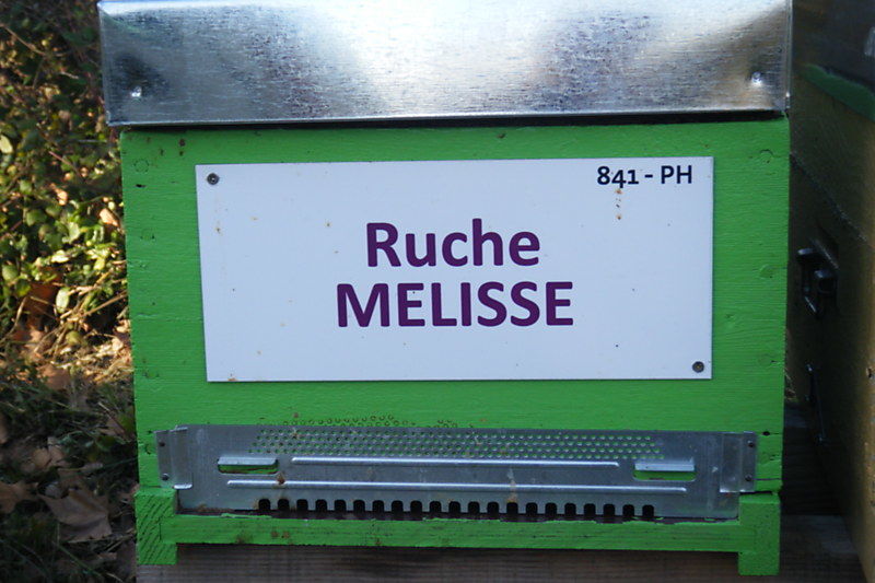 La ruche Mélisse