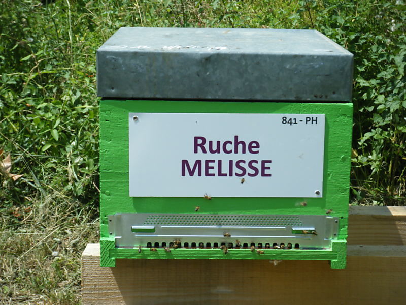 La ruche Mélisse