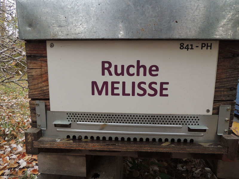 La ruche Mélisse