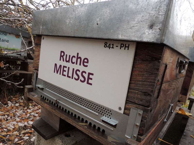 La ruche Mélisse