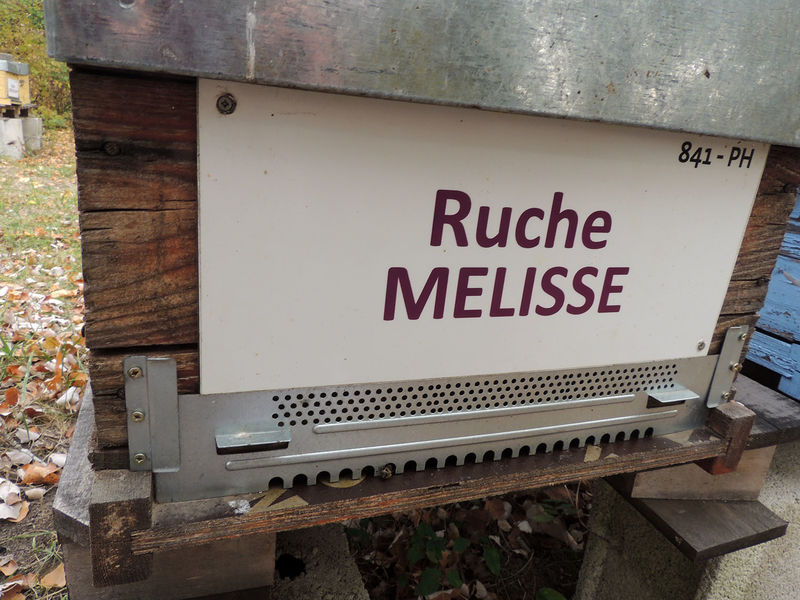 La ruche Mélisse