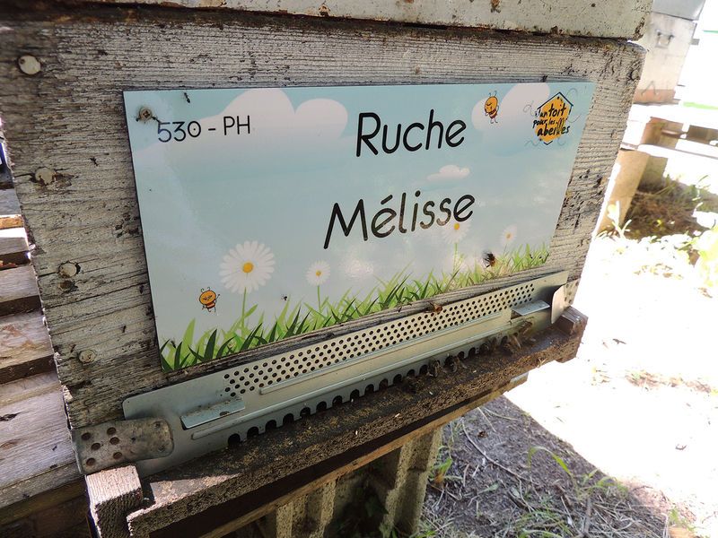 La ruche Mélisse