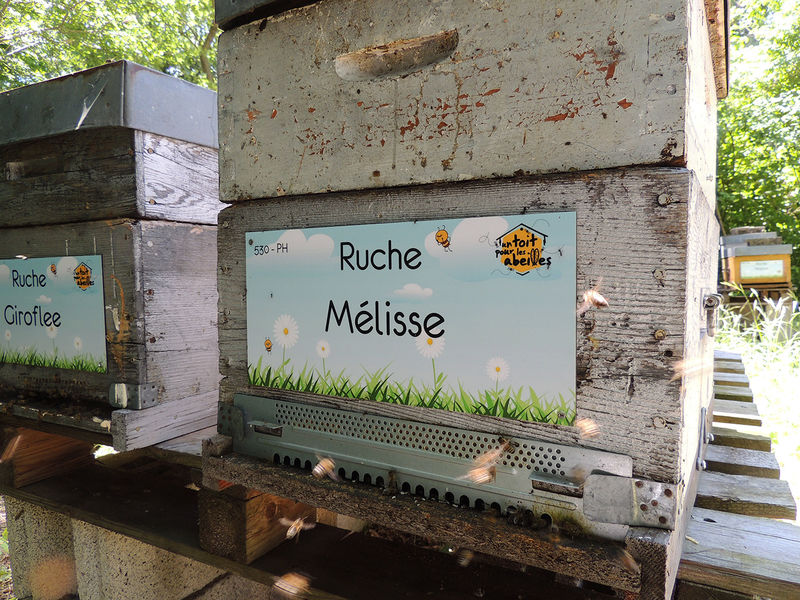 La ruche Mélisse