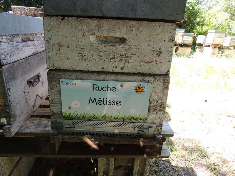 La ruche Mélisse
