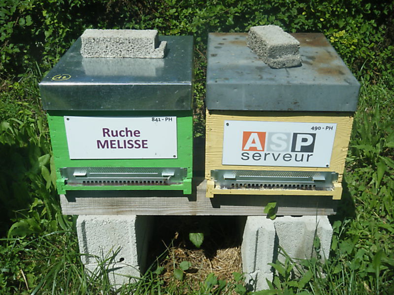 La ruche Mélisse