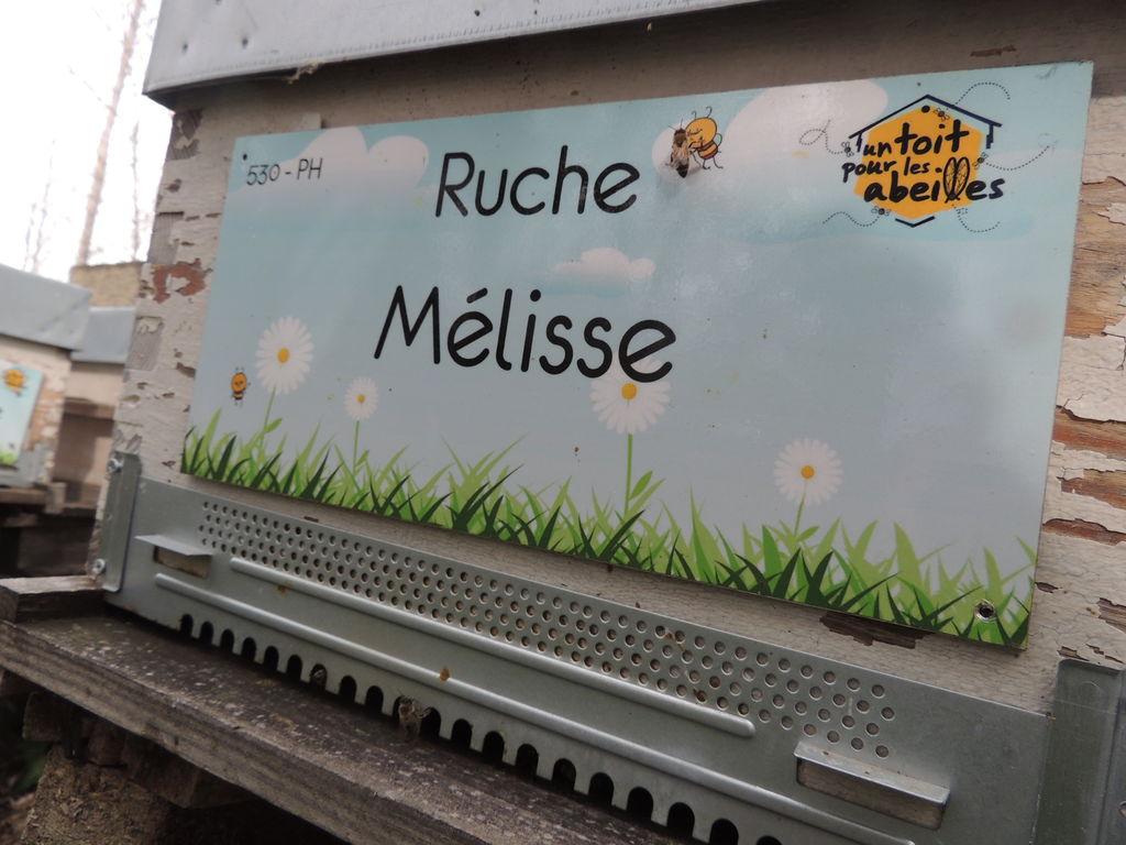 La ruche Mélisse