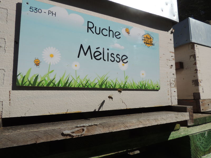 La ruche Mélisse