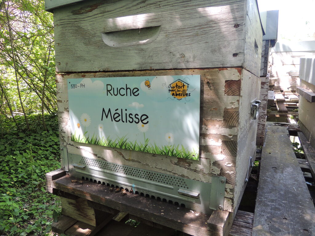La ruche Mélisse