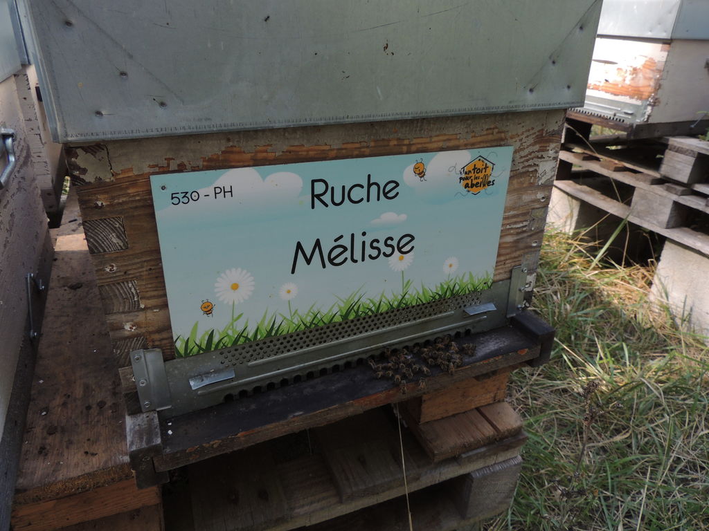 La ruche Mélisse