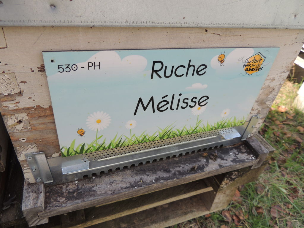La ruche Mélisse