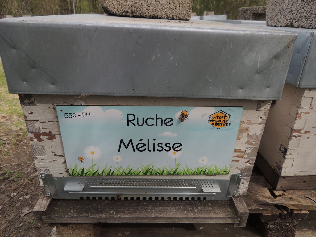 La ruche Mélisse
