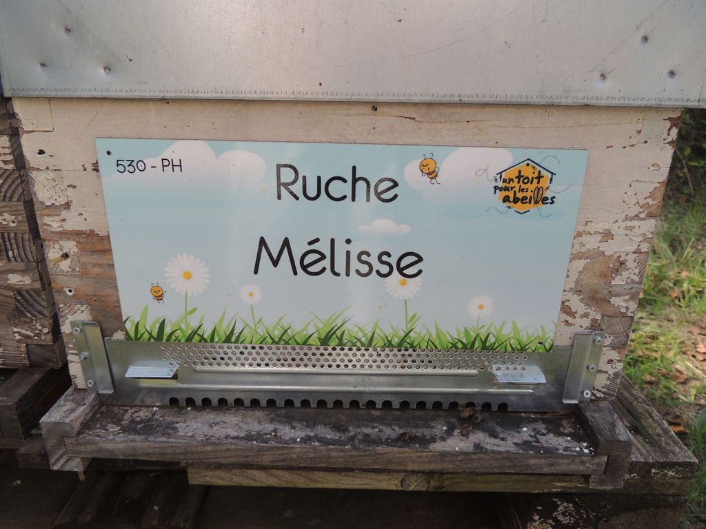 La ruche Mélisse
