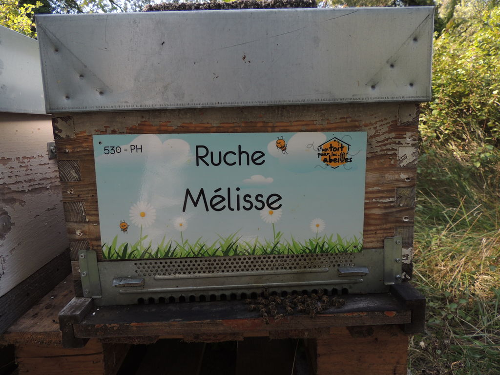 La ruche Mélisse