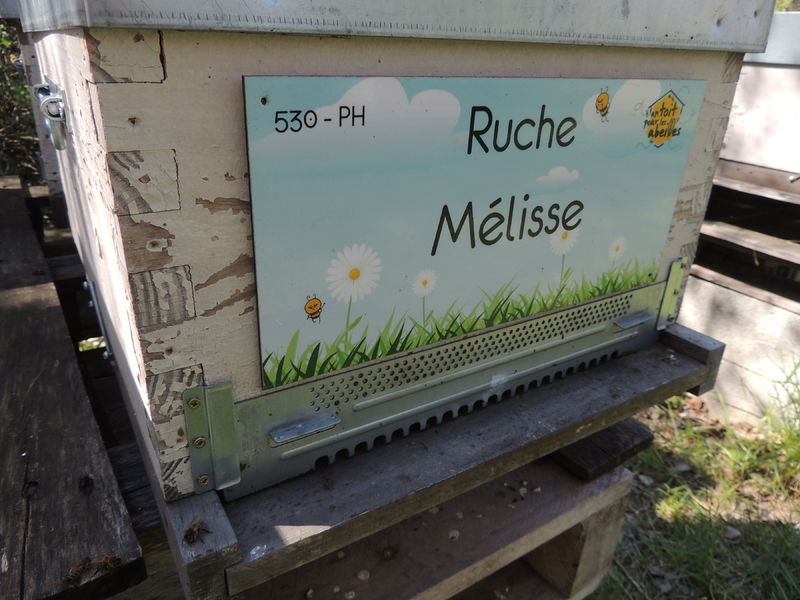 La ruche Mélisse