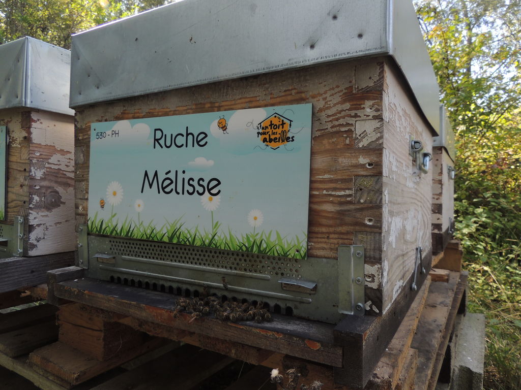 La ruche Mélisse