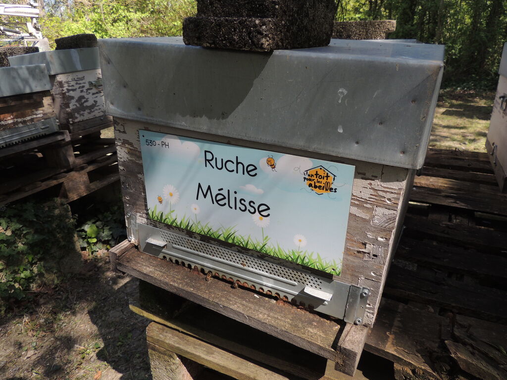 La ruche Mélisse
