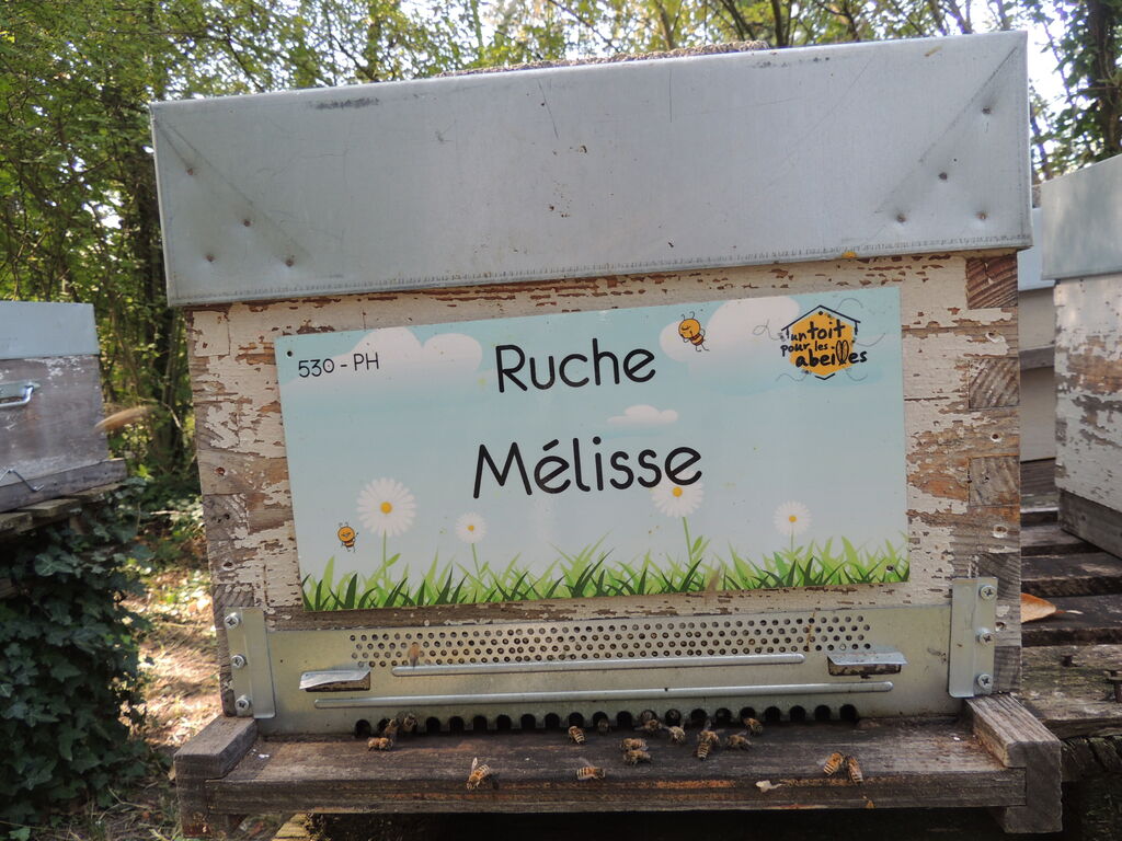 La ruche Mélisse