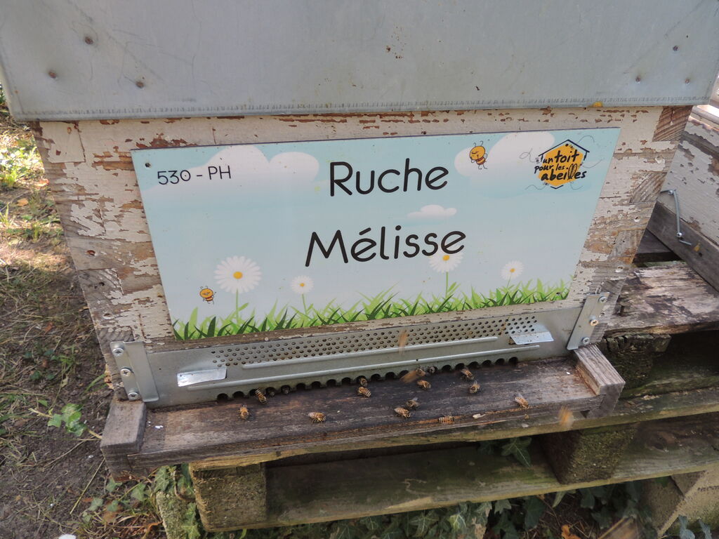 La ruche Mélisse