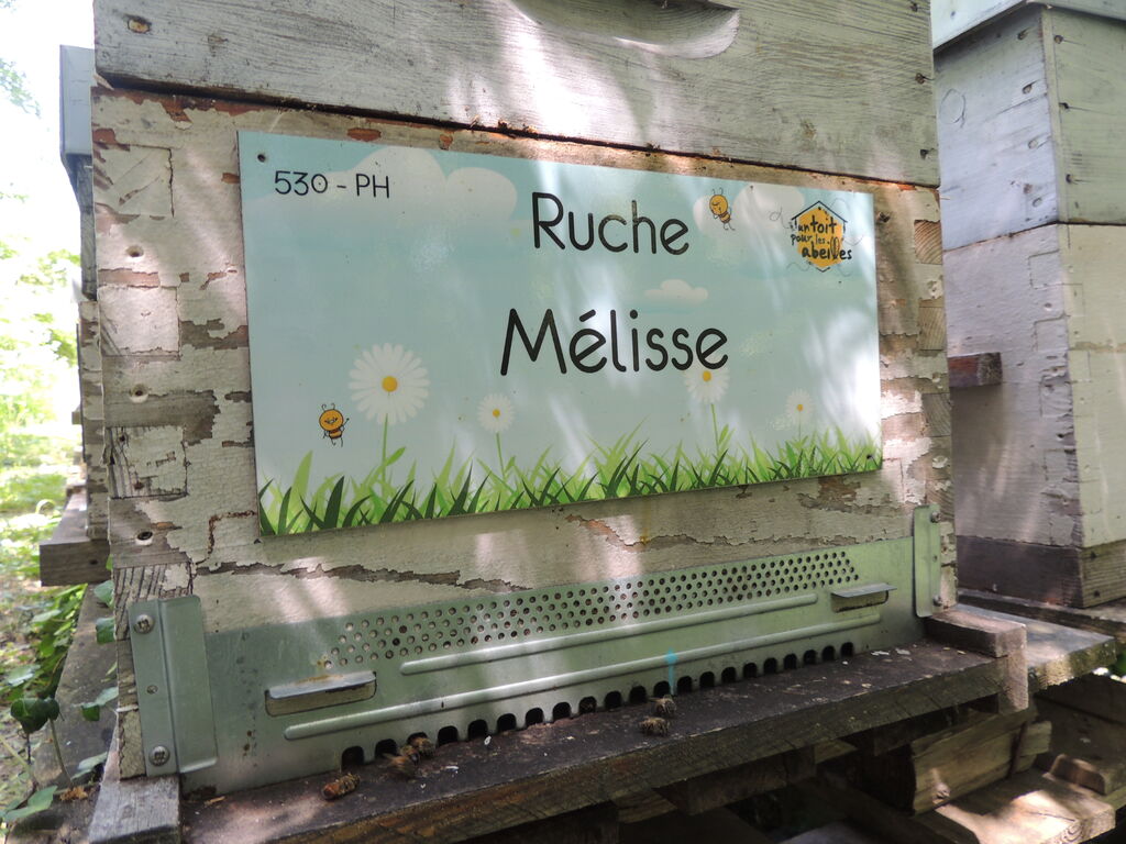 La ruche Mélisse