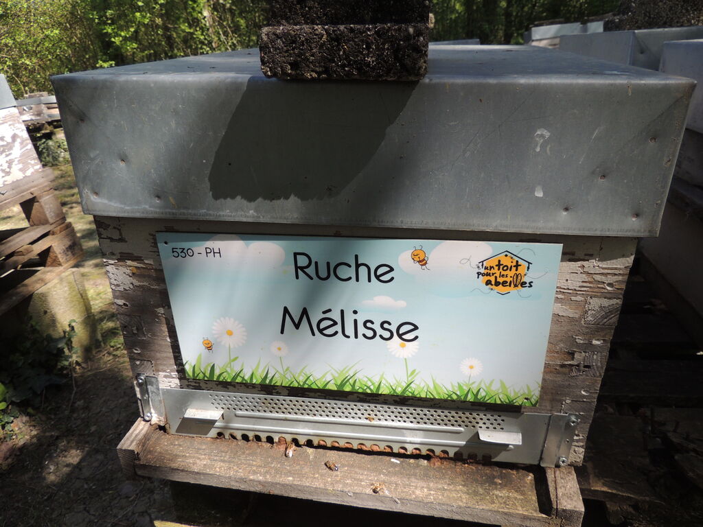 La ruche Mélisse