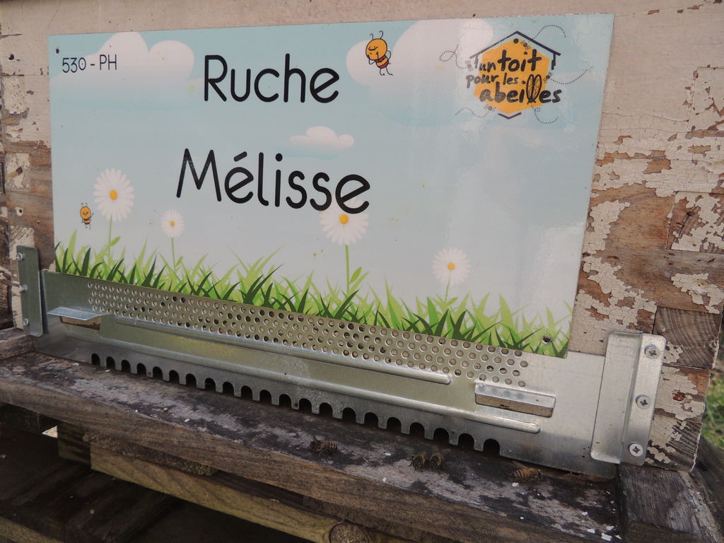 La ruche Mélisse