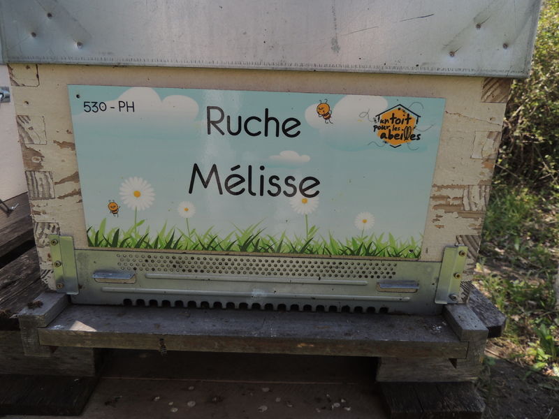 La ruche Mélisse
