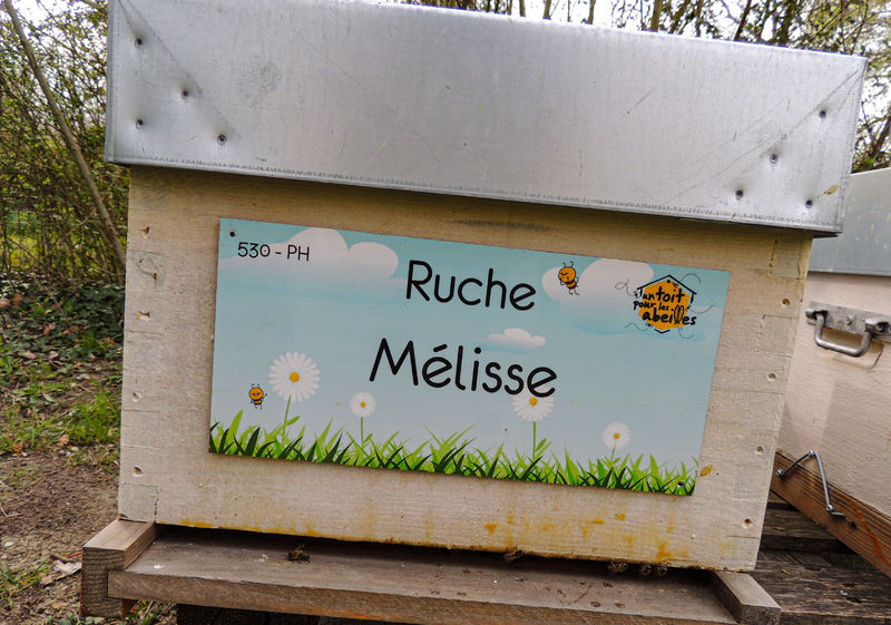 La ruche Mélisse