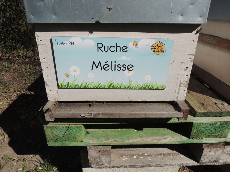La ruche Mélisse