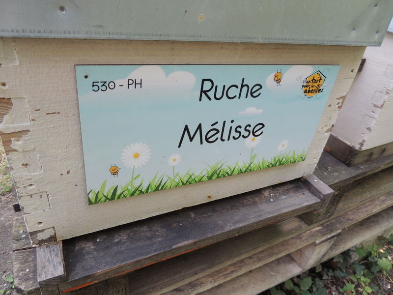 La ruche Mélisse