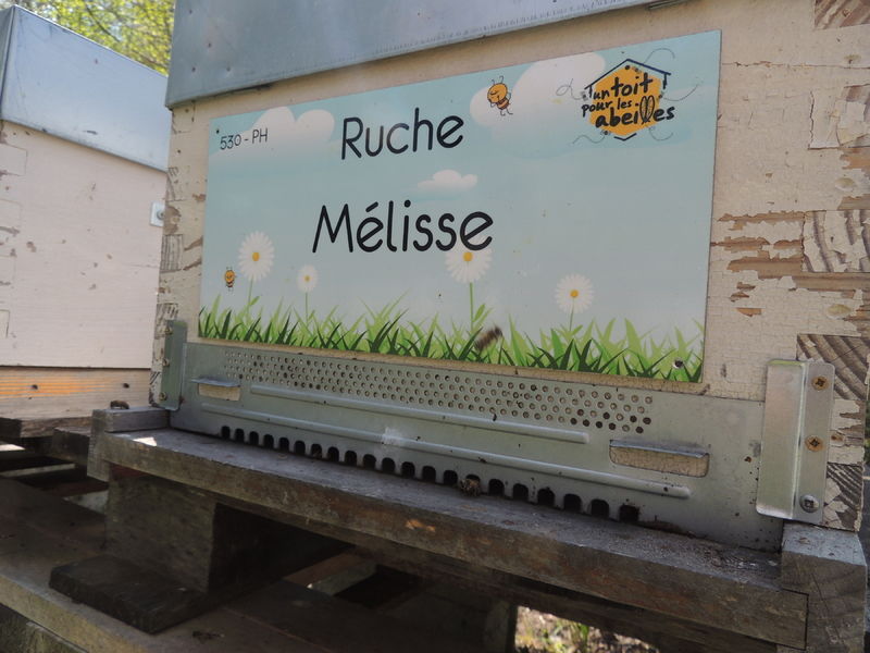 La ruche Mélisse