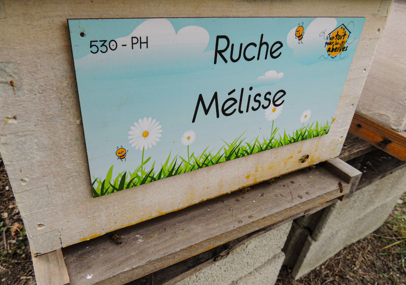La ruche Mélisse