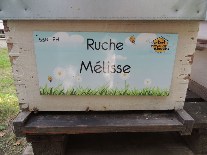 La ruche Mélisse