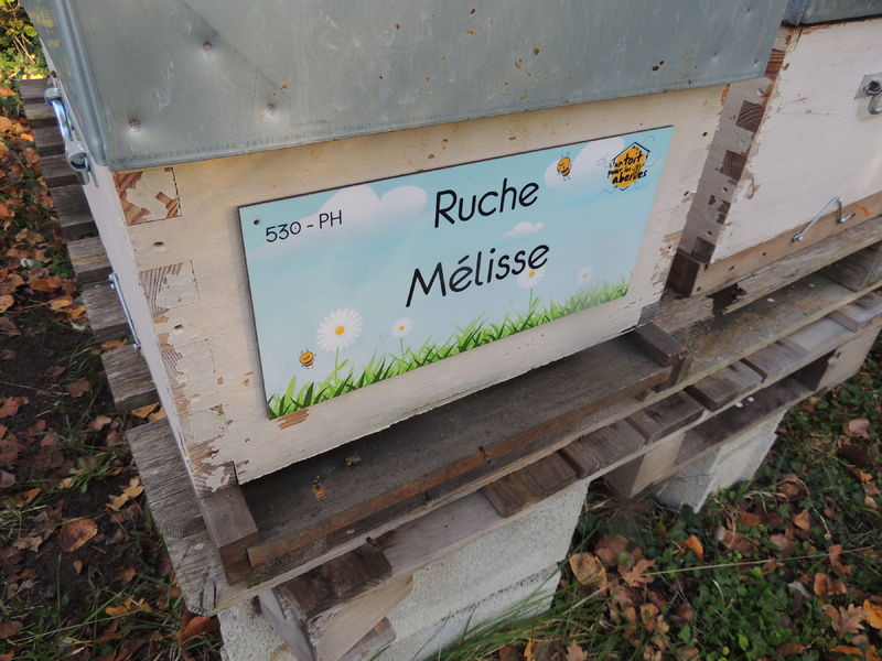 La ruche Mélisse