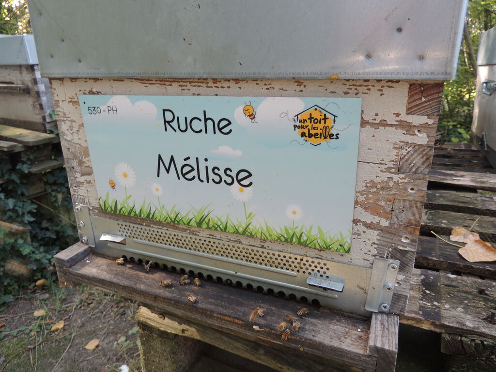 La ruche Mélisse